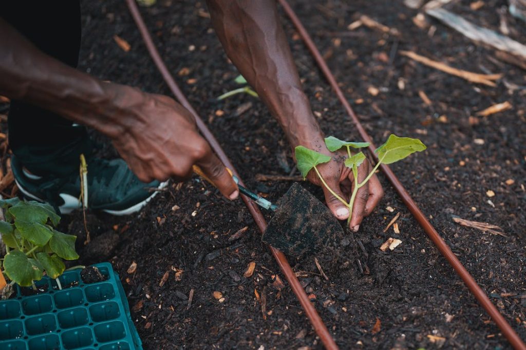 Un homme faisant du jardinage et optant pour l'éco-responsabilité