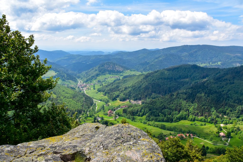Image d'une vallée dans la forêt noire en Allemagne